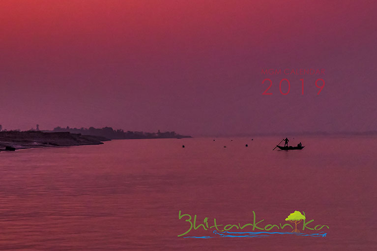 Year 2019